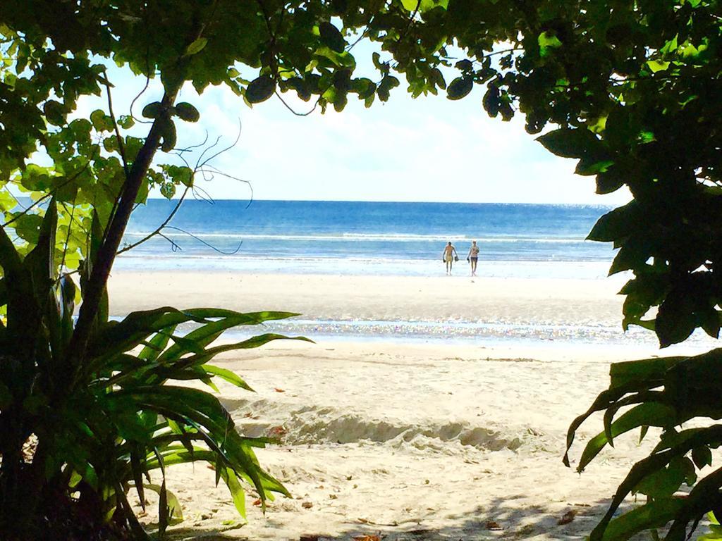 Cape Tribulation Holiday House Exteriör bild